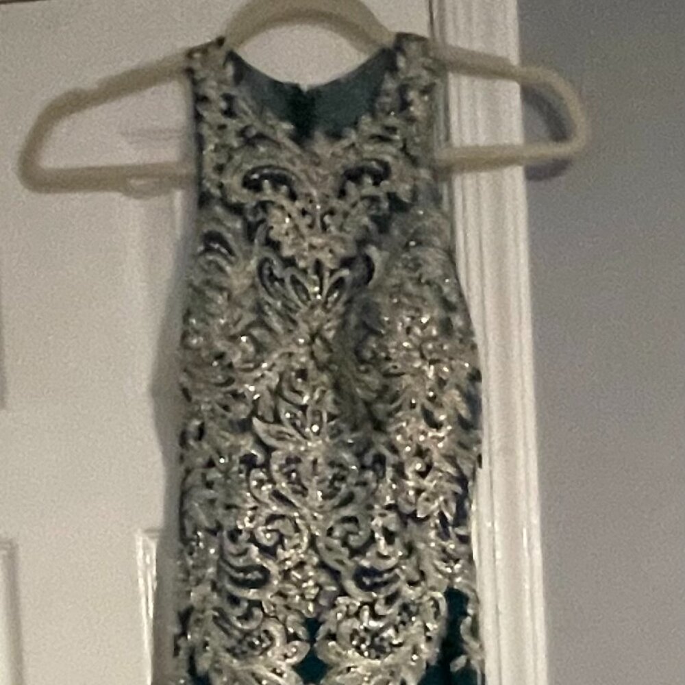 Lovely long dress.  Worn 3 dress.  2 years old